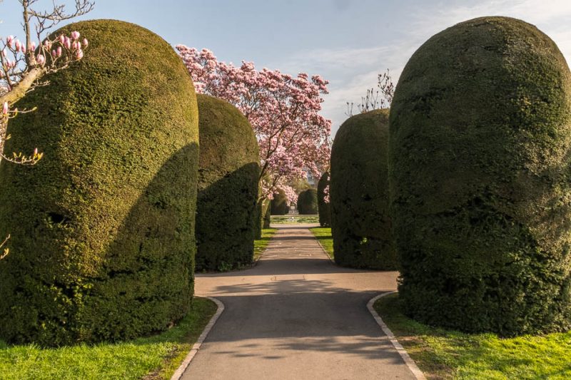 Fototour Wilhelma Stuttgart