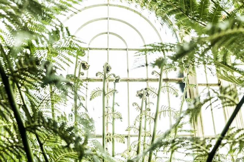 Fototour Wilhelma Stuttgart – Pflanzen und Architektur fotografieren
