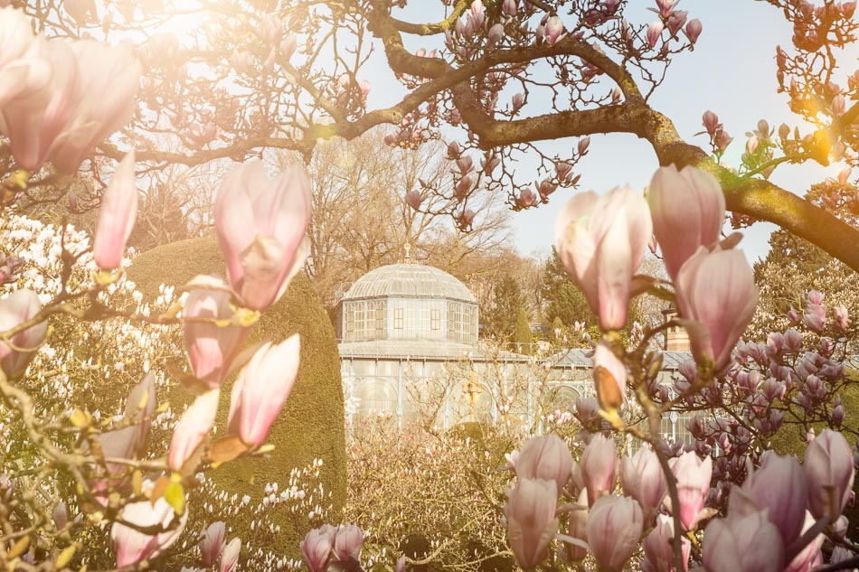 Fotospots in Stuttgart – die besten Locations & Tipps zum Fotografieren 7 Fotospots in Stuttgart