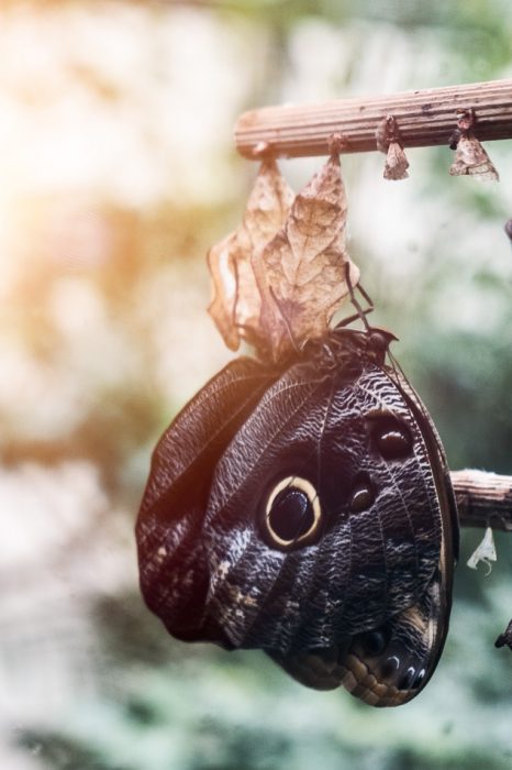 Fototour Wilhelma Stuttgart