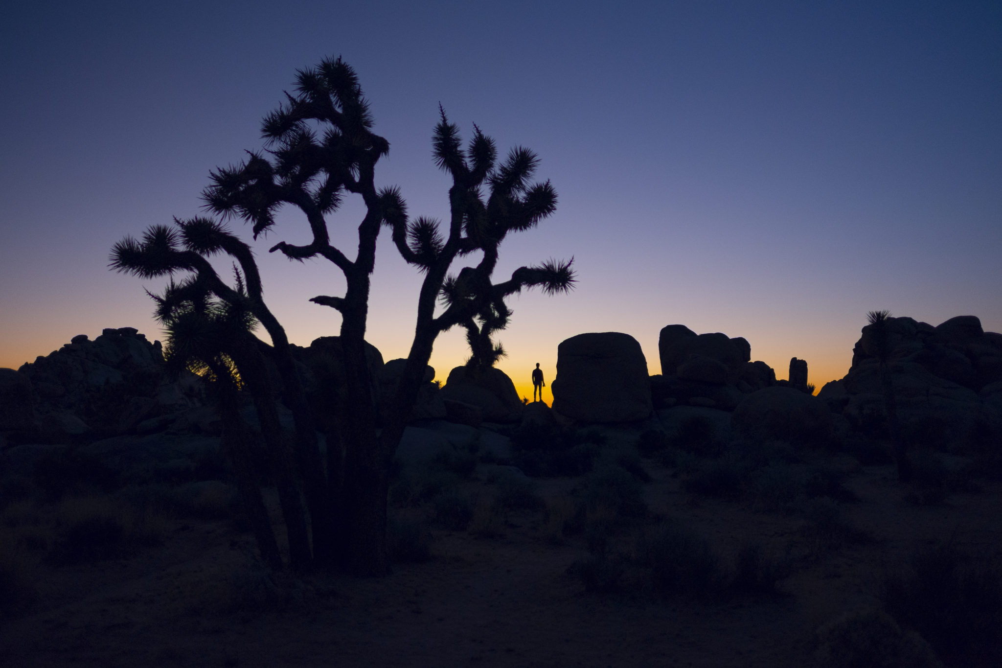 Michael Damböck photographing outdoors