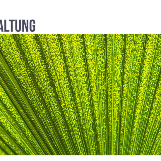 Grundlagen der Fotografie Druckfassung – Bild 5