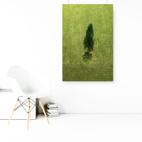 Wandbild Baum von Oben