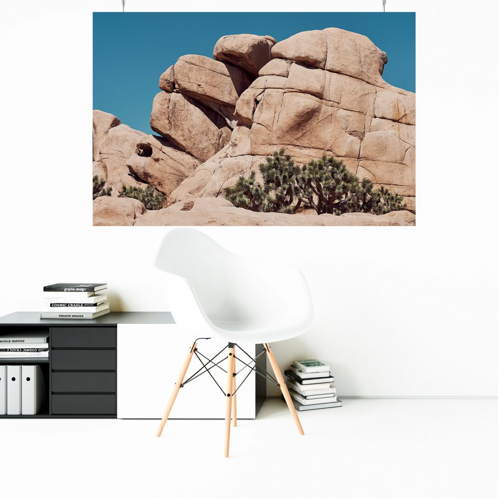 Joshua Tree National Park Wandbild