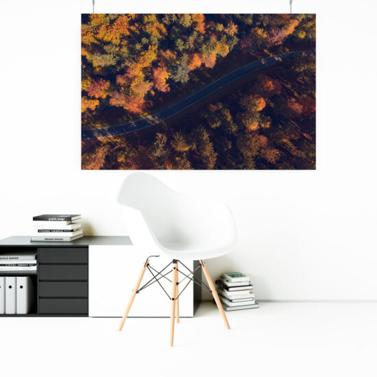 Wandbild: Herbstwald