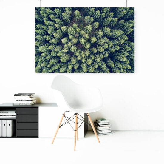 Wandbild Wald von Oben