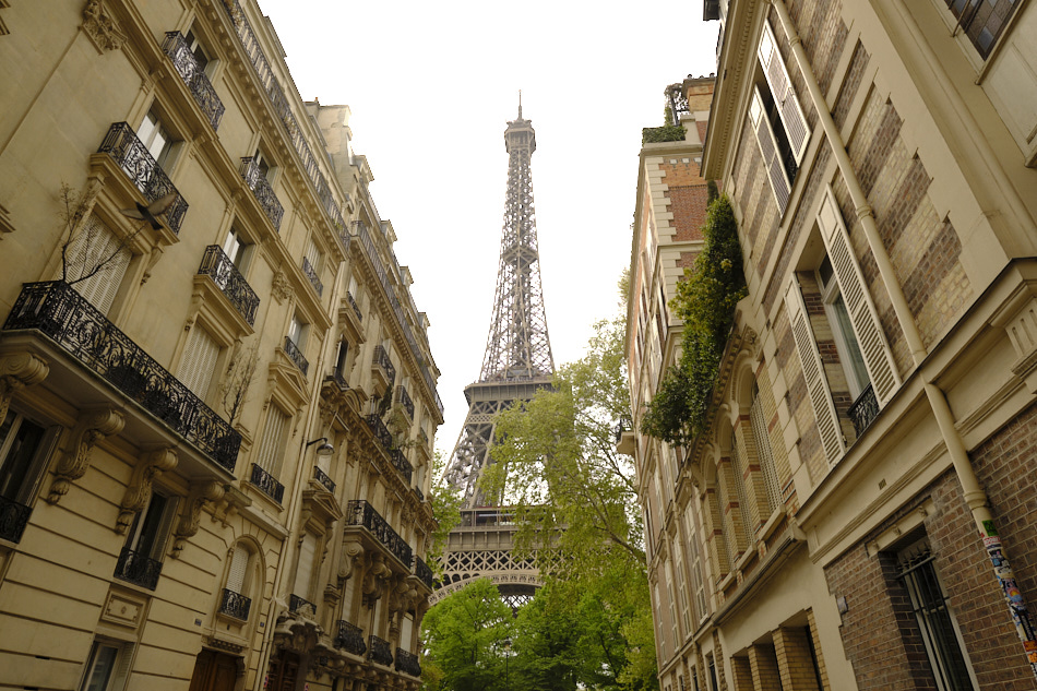 7 Paris Styles for Capture One Pro 19 Before image