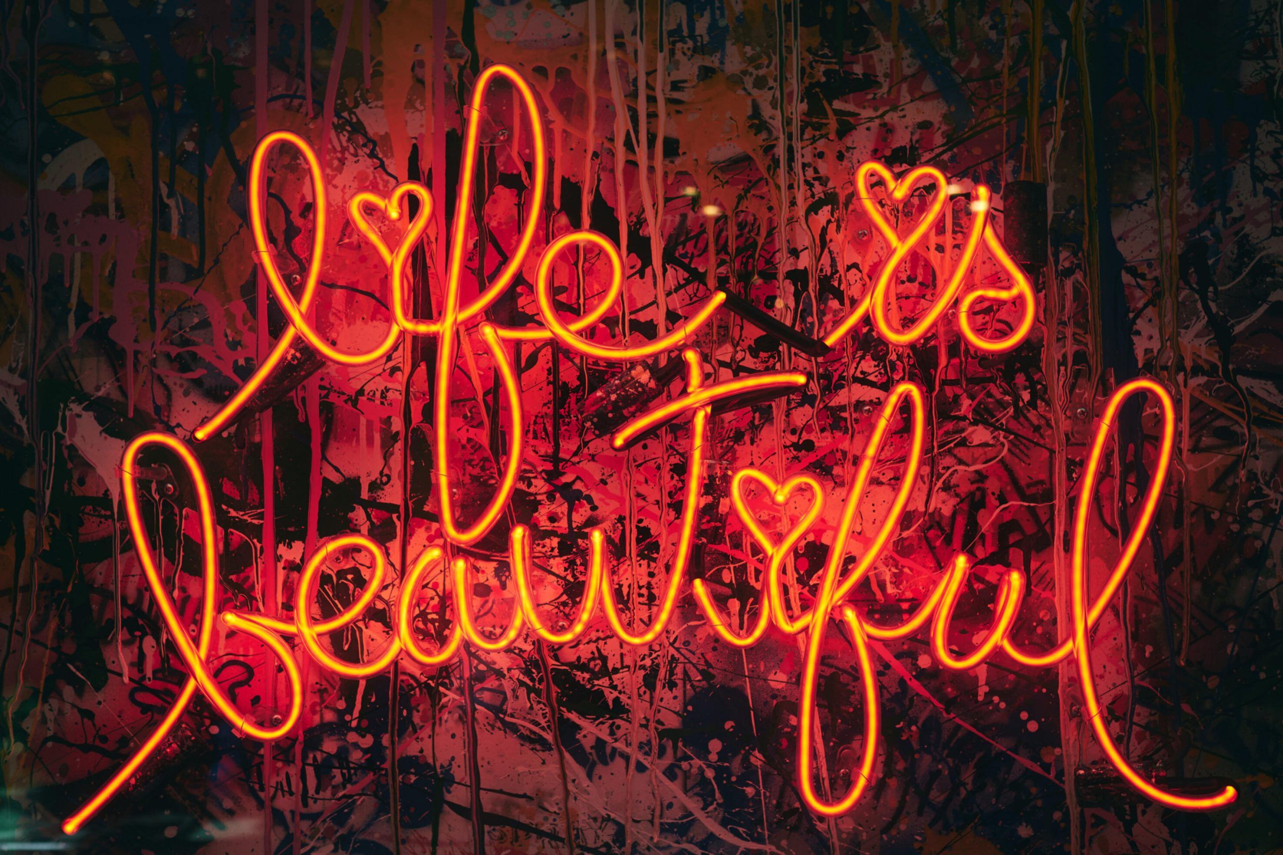 Kamera richtig einstellen