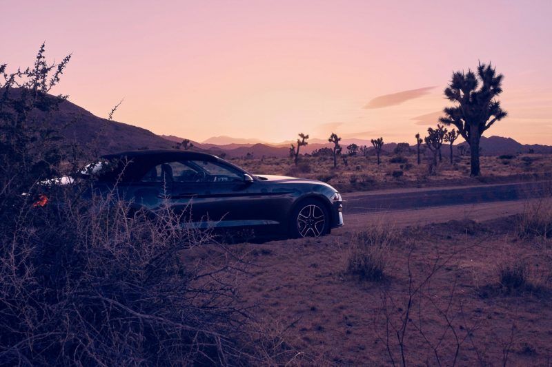 Fujifilm Weitwinkel Objektive