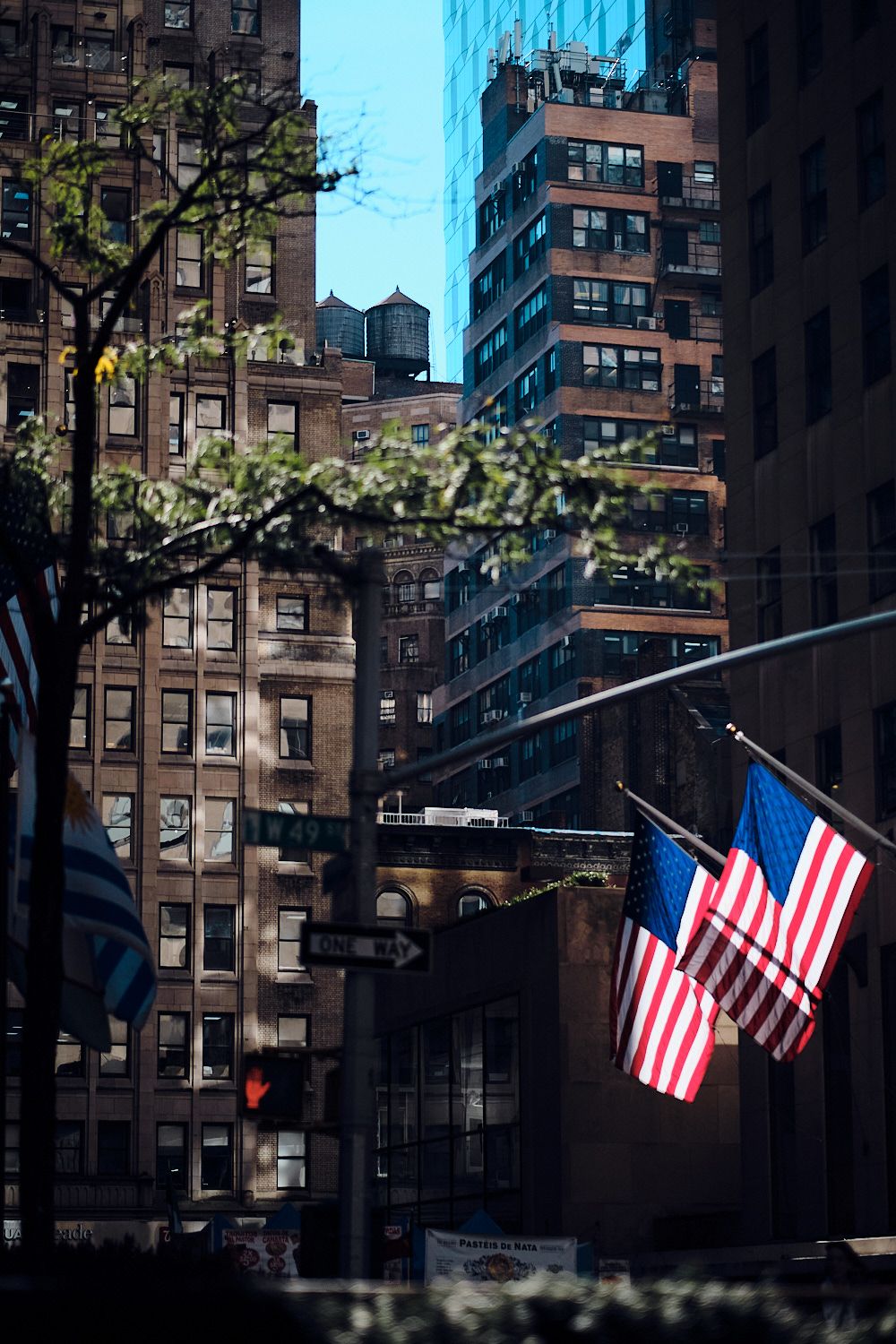 New York Styles Capture One Pro Vertical Reflections