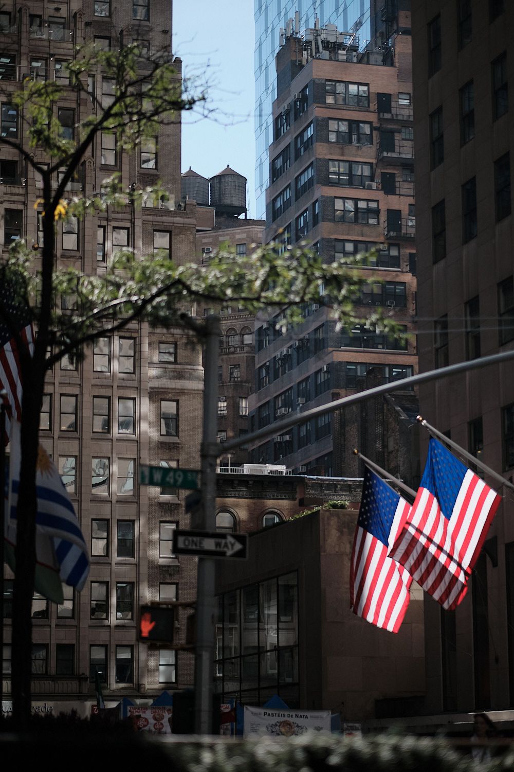 New York Styles Capture One Pro Vertical Reflections