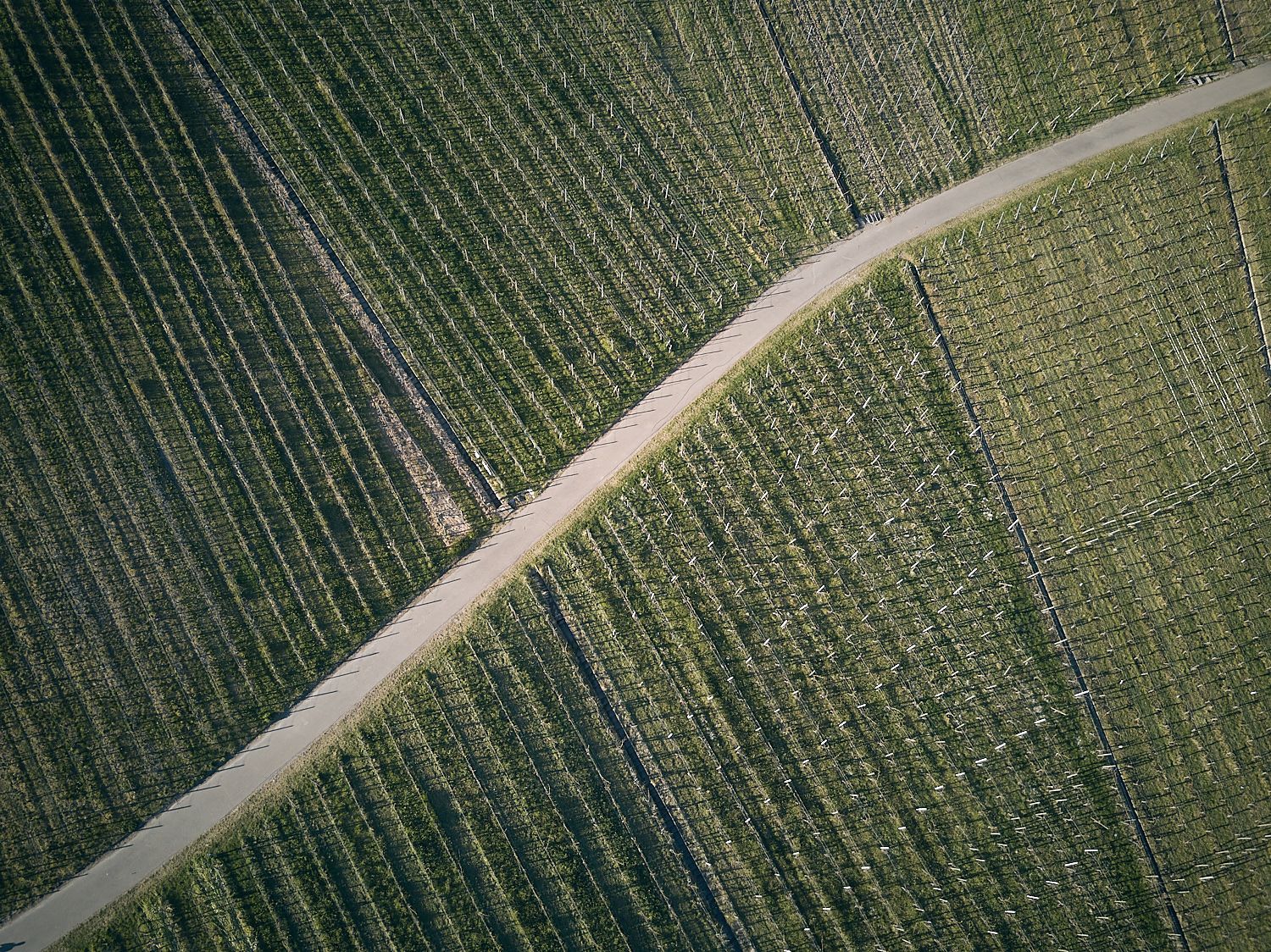 Einfach mal Fotografieren gehen in Stuttgart 27