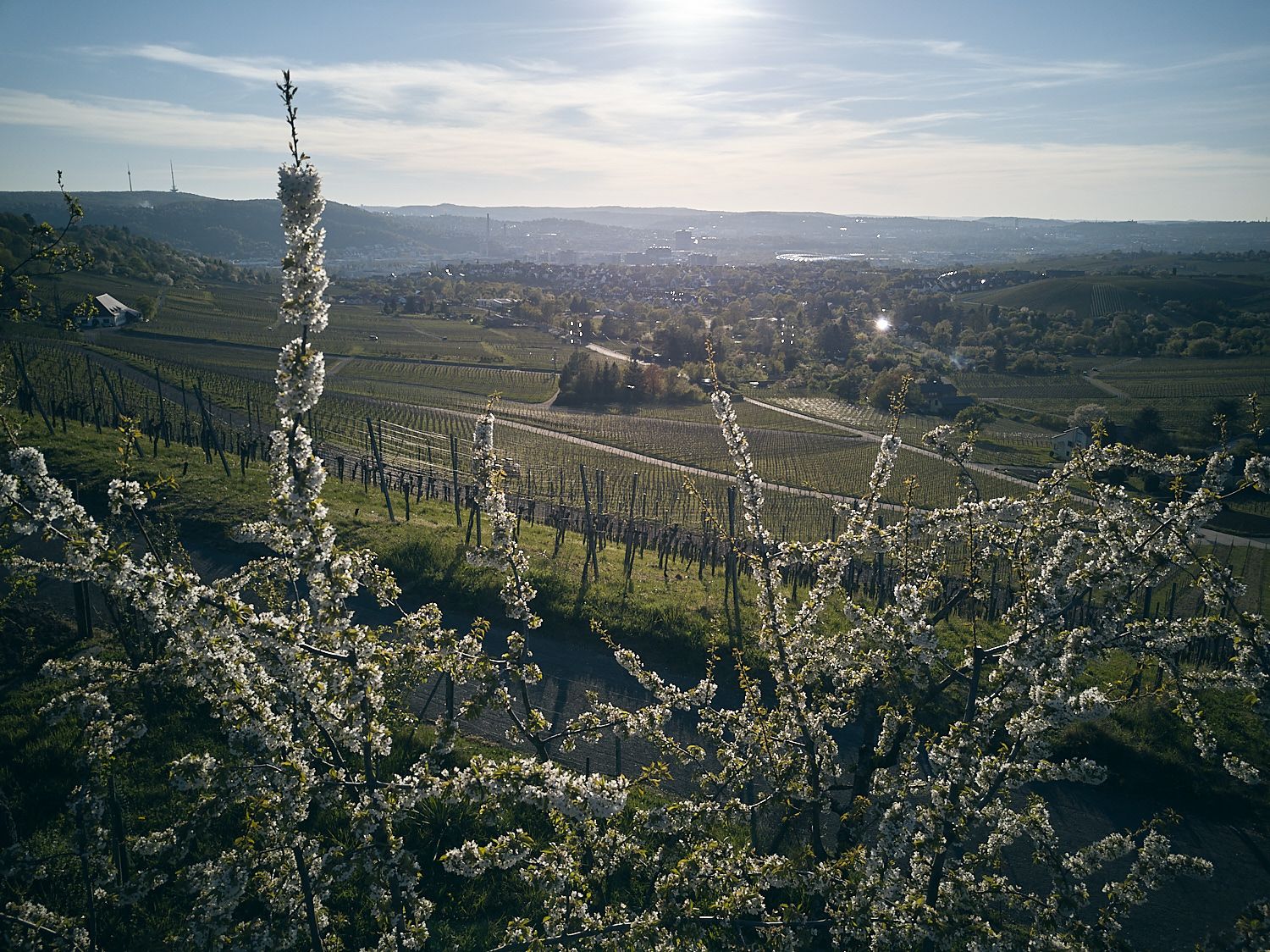 Einfach mal Fotografieren gehen in Stuttgart 25