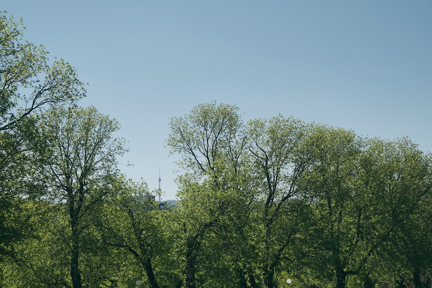 Einfach mal Fotografieren gehen in Stuttgart 19