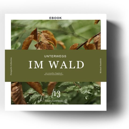 ebook Wald: Unterwegs mit der Kamera