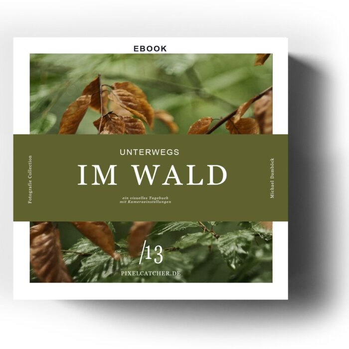 ebook Wald: Unterwegs mit der Kamera