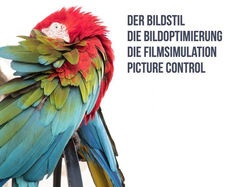 Fotografieren Lernen: Grundlagen der Fotografie Videokurs 8 Fotografieren Lernen: Grundlagen der Fotografie Videokurs 6