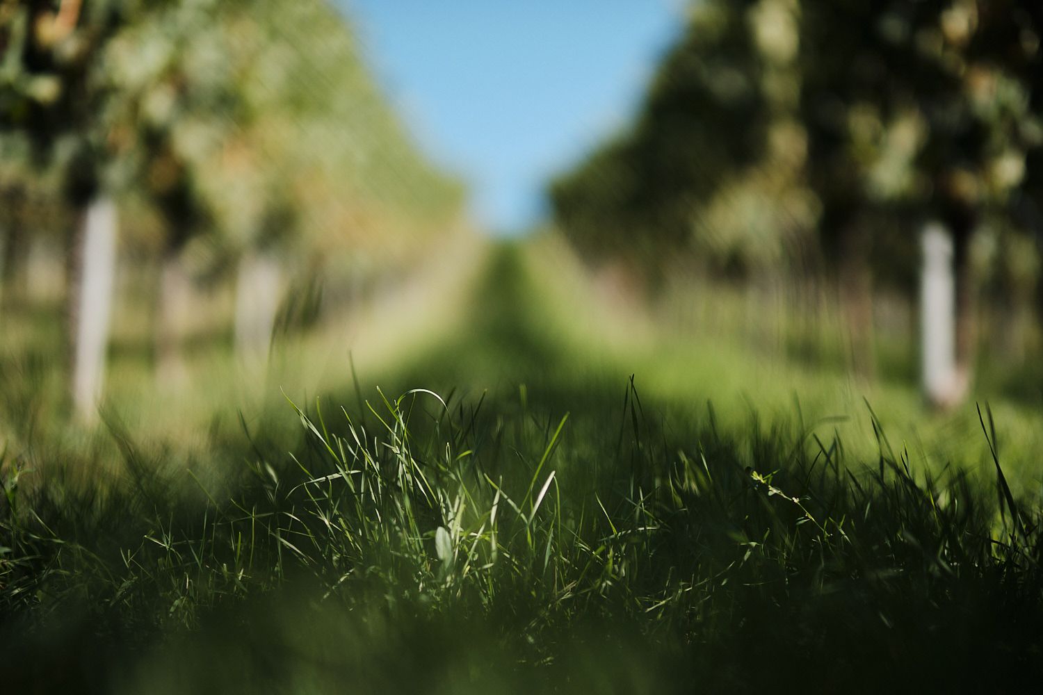 Fuji XF50 F1.0 Beispielbild