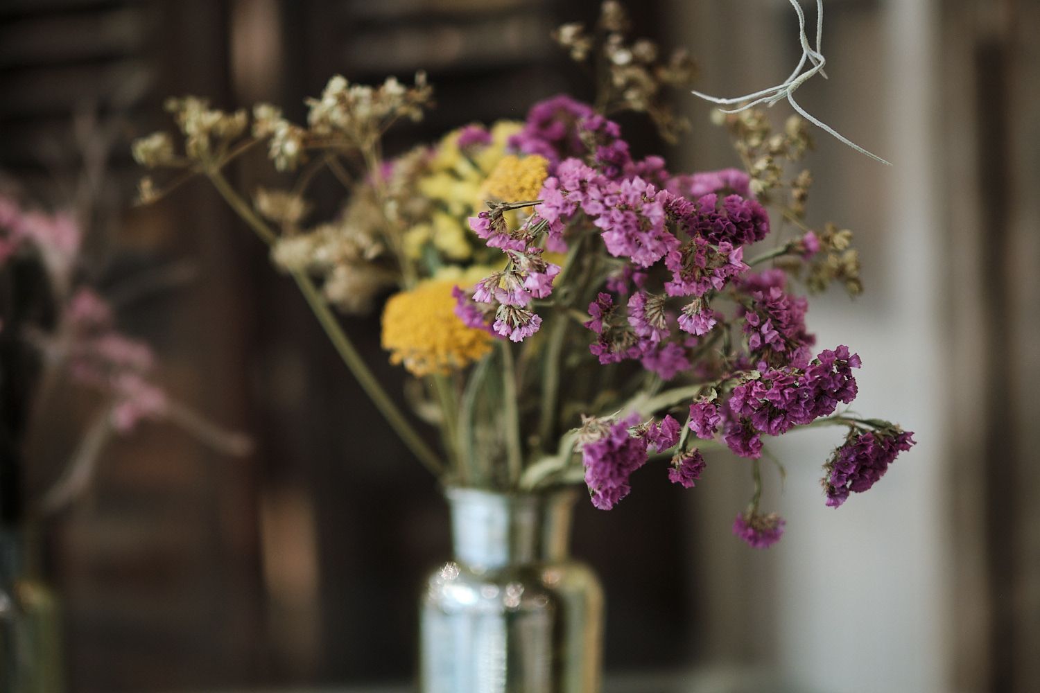 Fuji XF50 F1.0 Beispielbild