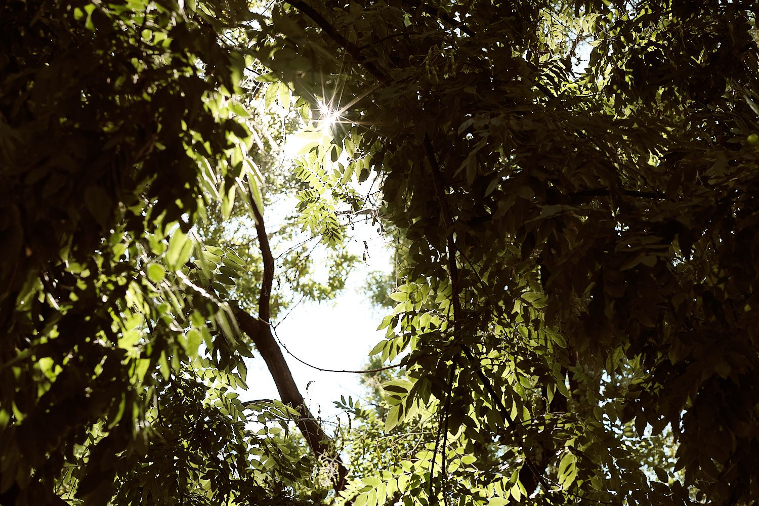 Fuji XF50 F1.0 Beispielbild