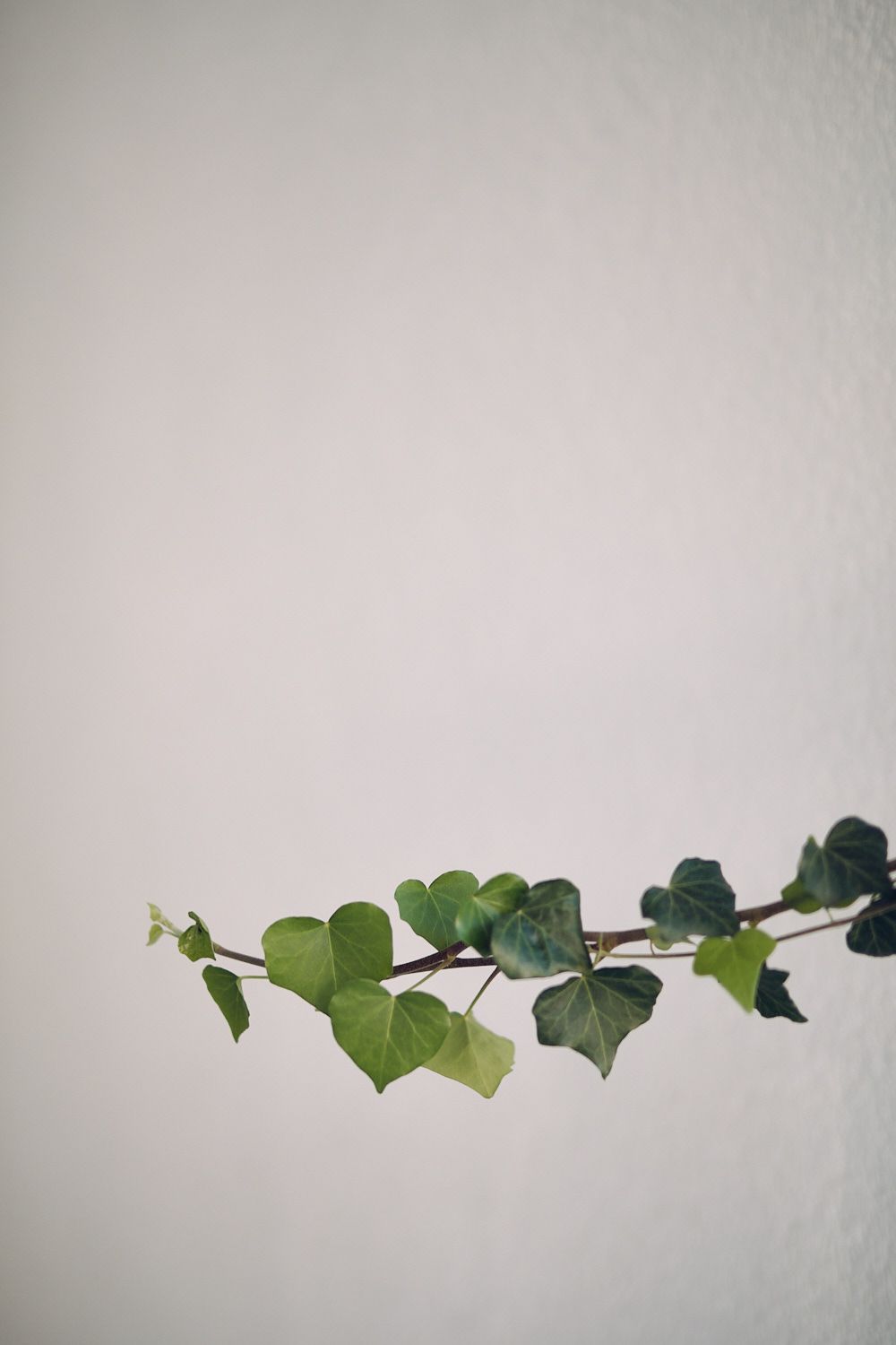 Fuji XF50 F1.0 Beispielbild