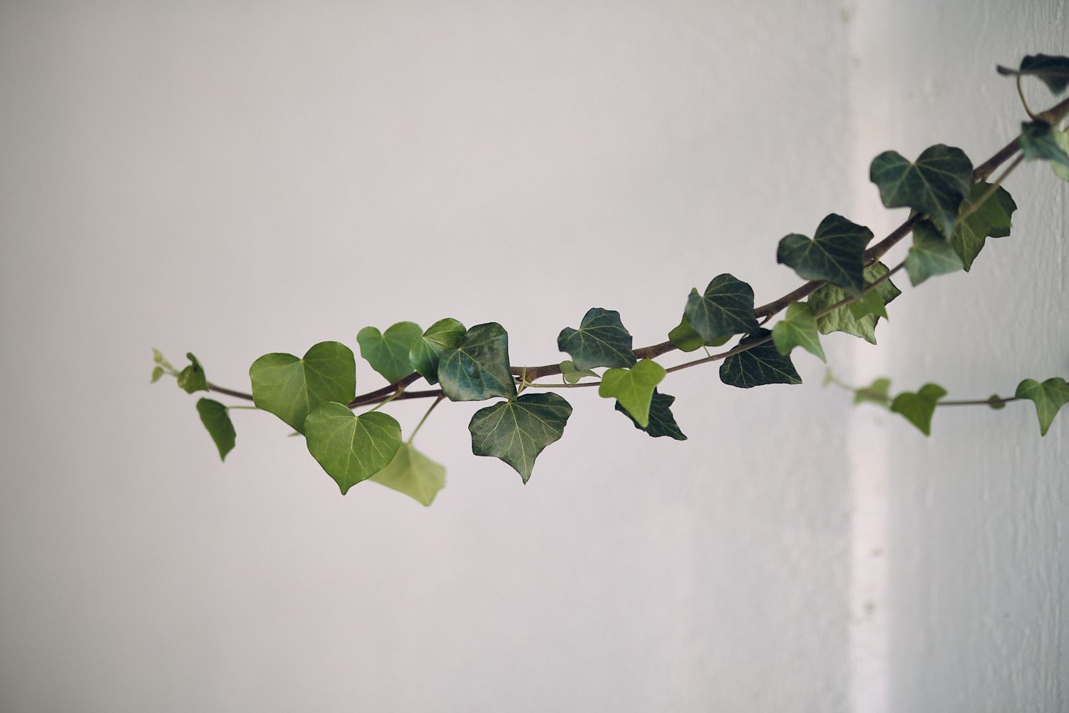 Fuji XF50 F1.0 Beispielbild