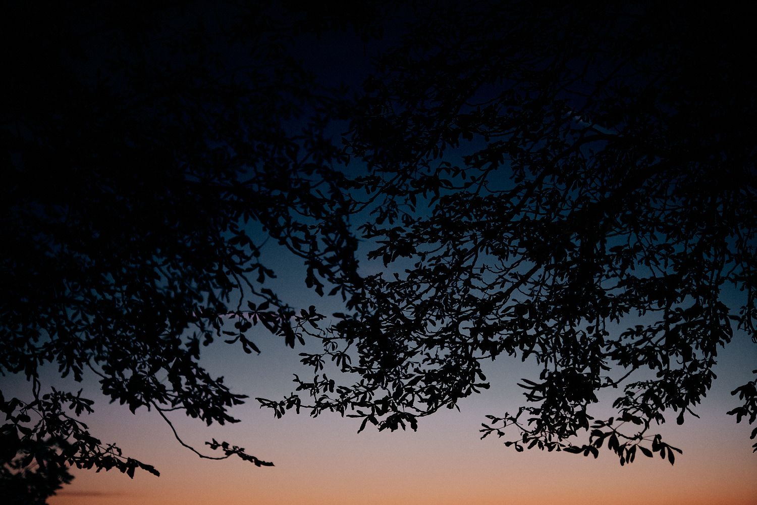 Fuji XF50 F1.0 Beispielbild