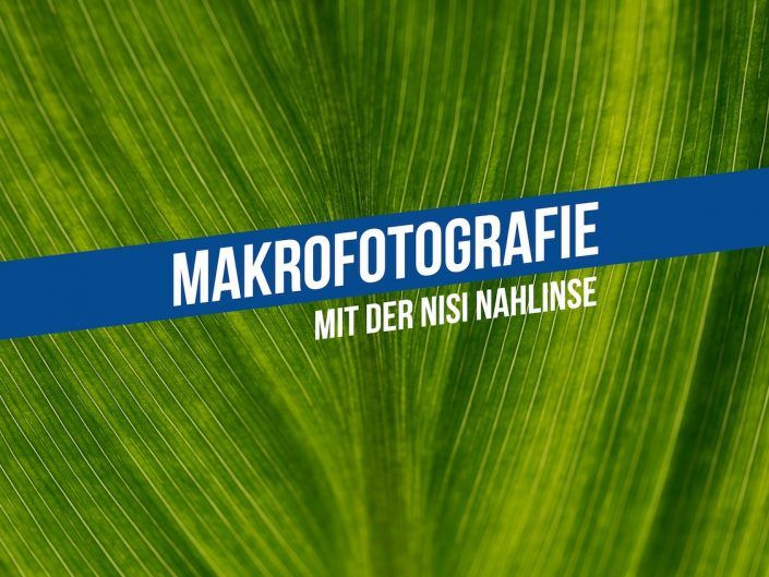 Makrofotografie mit Nahlinse
