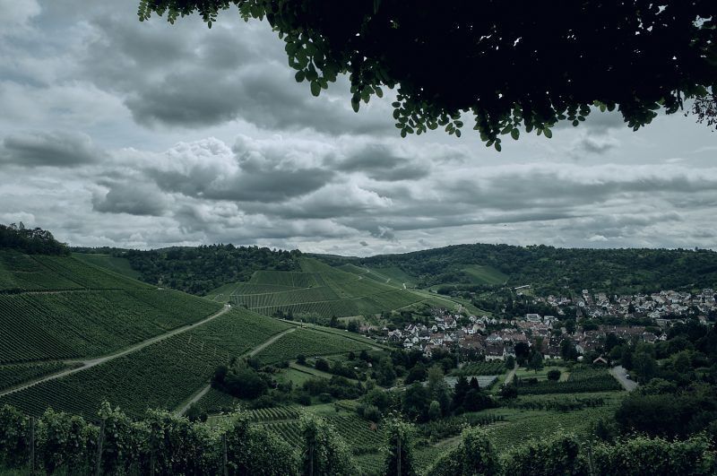 Fototour Weinberge Stuttgart