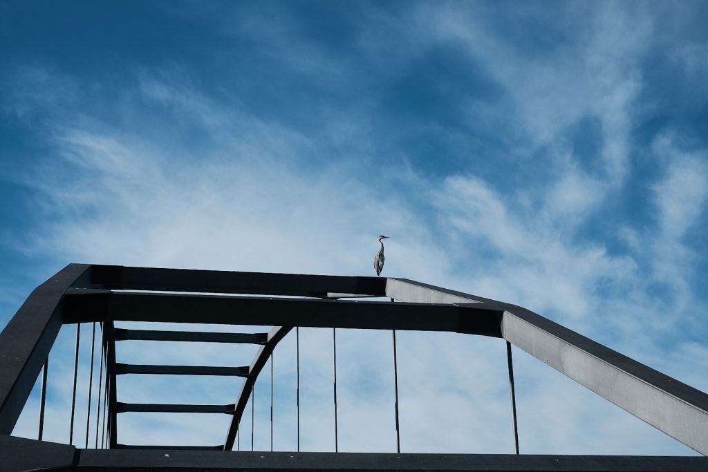 Fujifilm X-T5 Review Beispielbilder