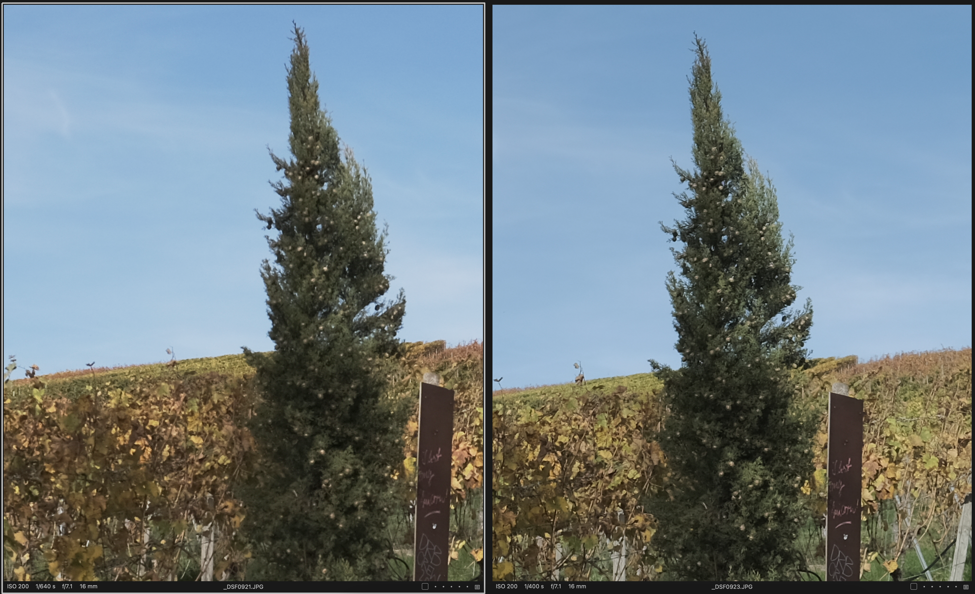 X-T5 vs. X-H1