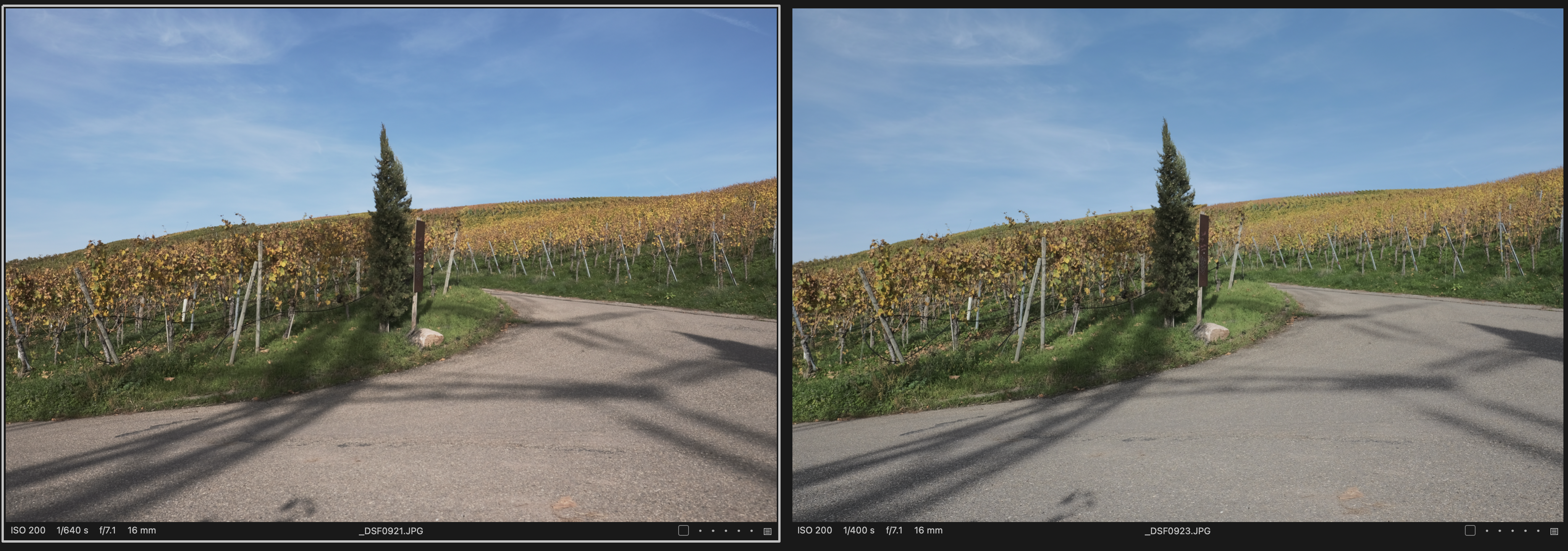 X-T5 vs. X-H1