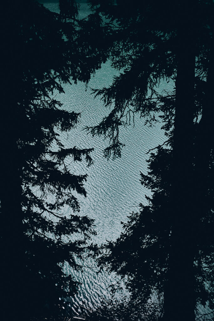 _DSF7693