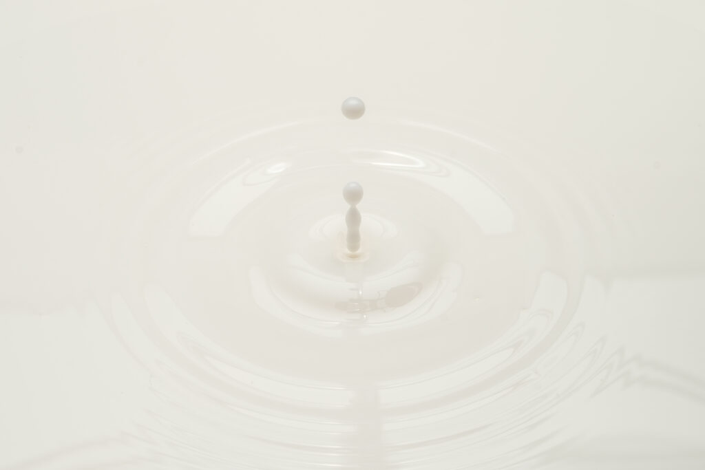 _DSF9531-4079