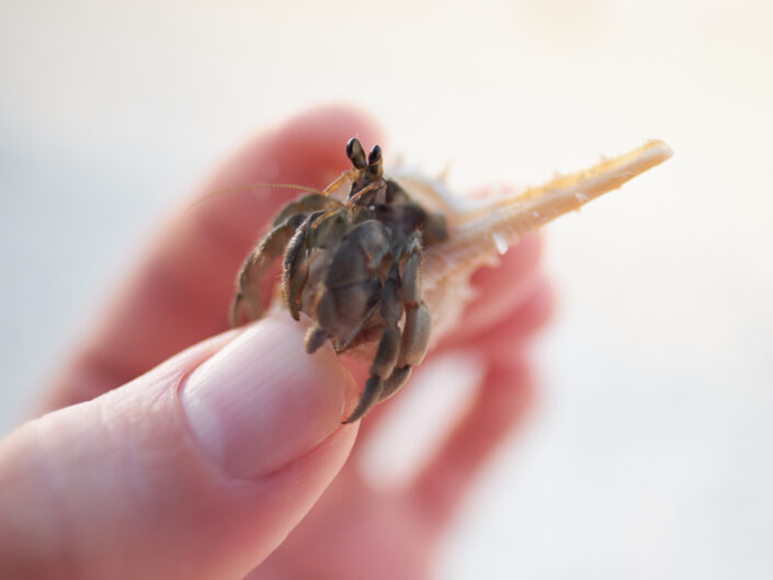 Einschränkungen fördern deine Kreativität