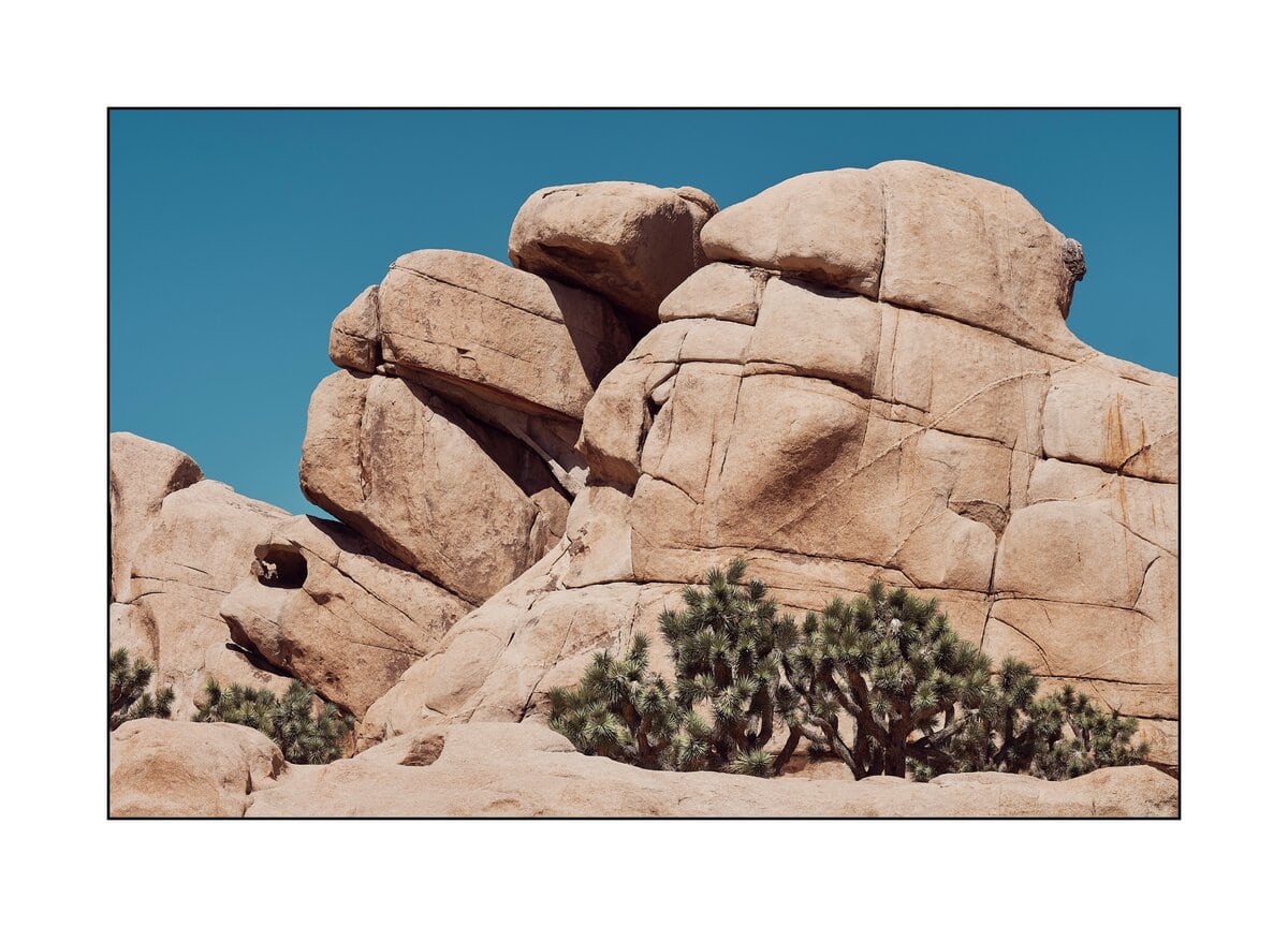 Professionelle Fotorahmen-Einstellungen für macOS