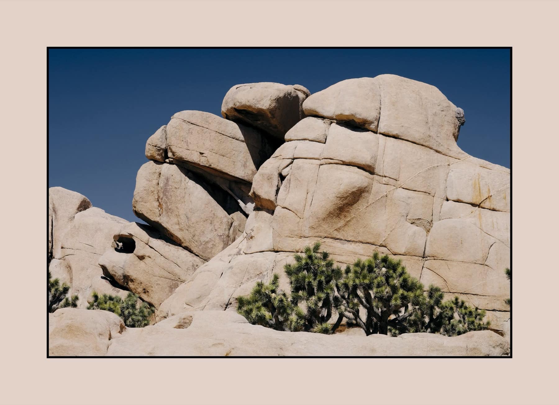 Color Harmony Light &ndash; Joshua Tree