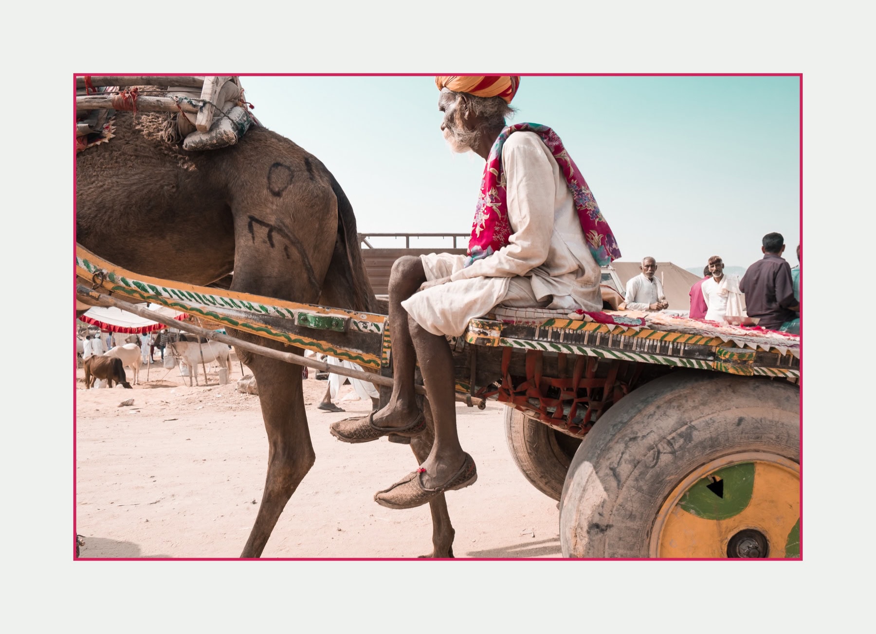 Color Harmony Vibrant &ndash; Rajasthan