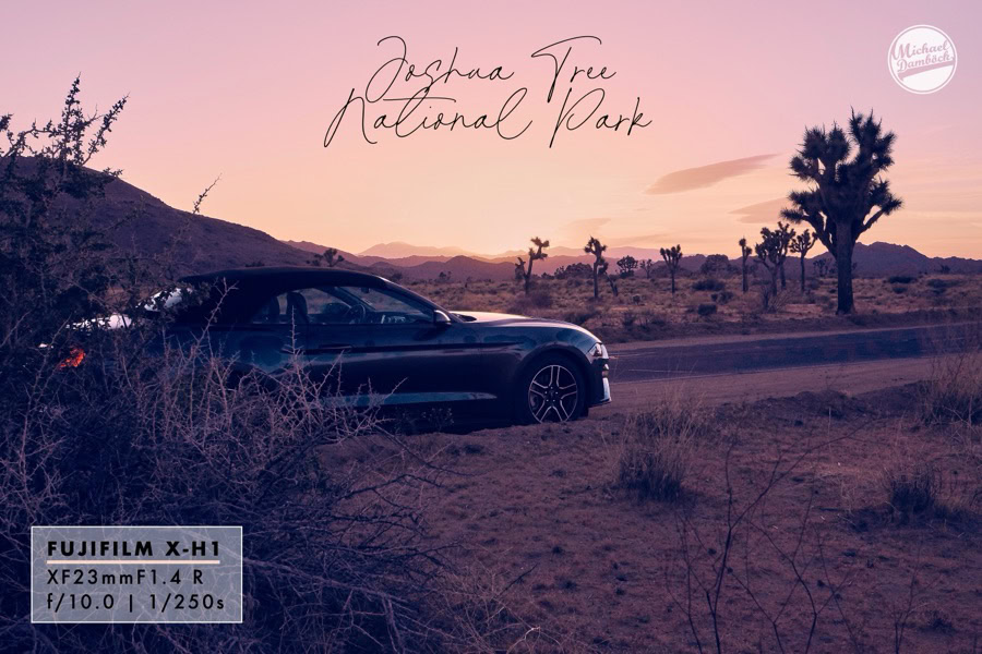 BatchMark Pro Beispiel: Logo, Script-Text und EXIF-Daten auf Landschaftsfoto