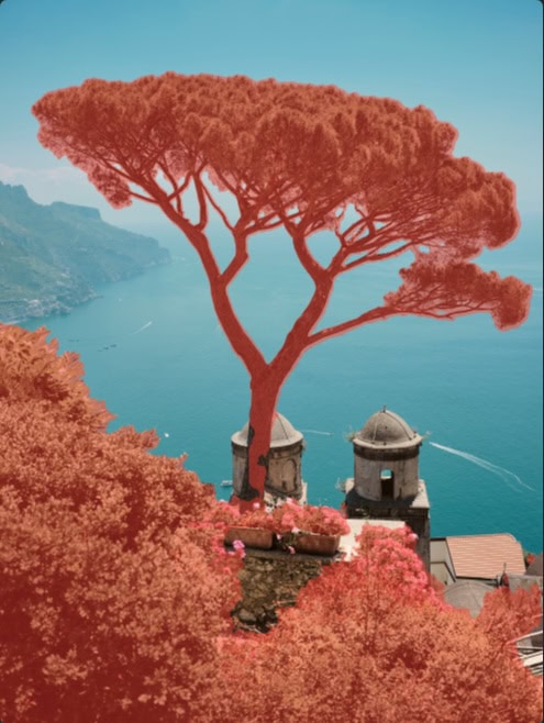 Luminar Mask AI hat Pflanzen automatisch maskiert. 